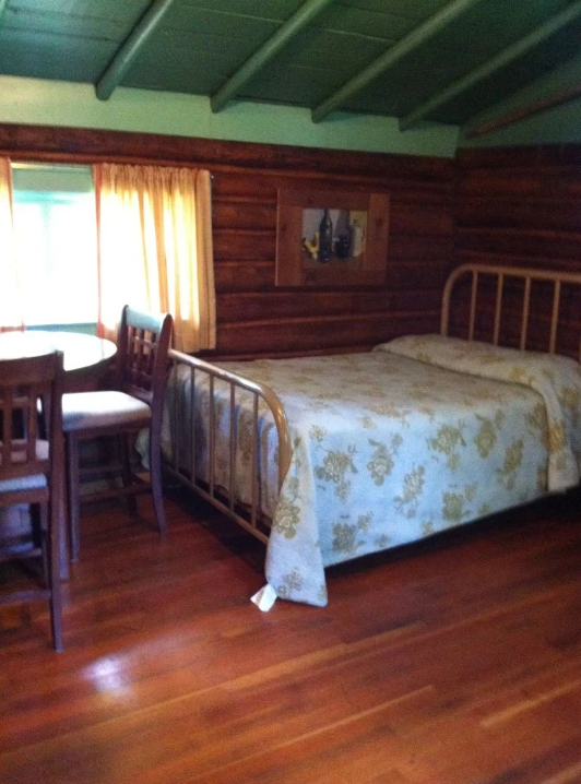 Northern Lights Cabin Grey Wolf Lodge Pelican Lake Orr, MN